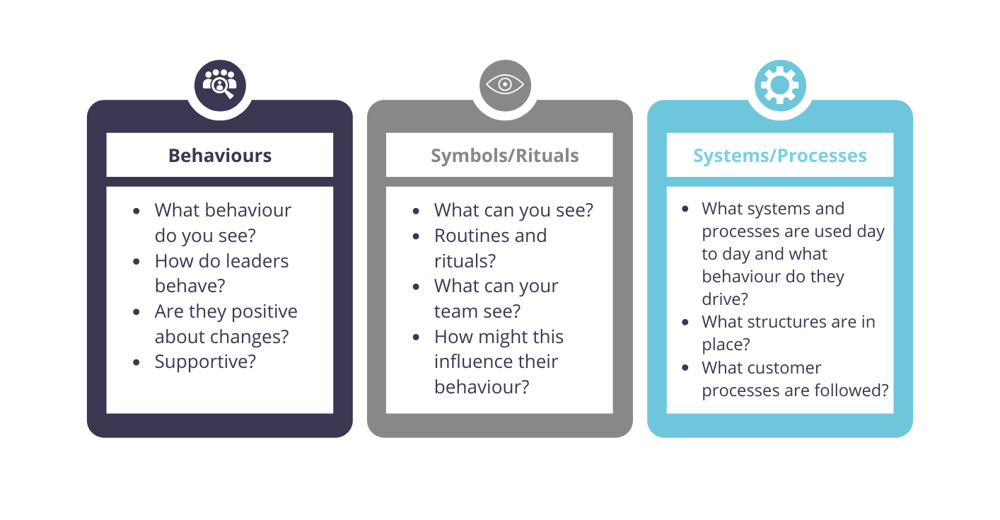 Culture Mapping Exercise: The Three Categories